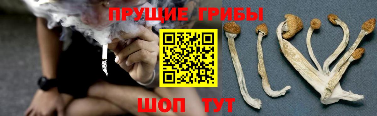 Галлюциногенные грибы Magic Shrooms  дарнет шоп  Зеленодольск  Вход с VPN 